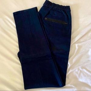 Zanerobe Navy Jogger Pants